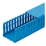 Panduit F1X2IB6 | Base Wiring Duct | UPC - 07498301796