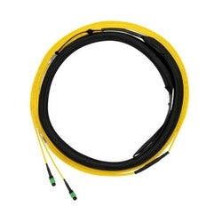 Panduit F9TYL5555AAM060 | QuickNet Trunk Cable Assembly