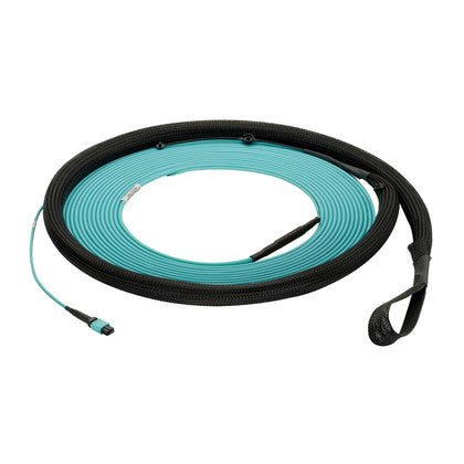Panduit FYXTP77X005F500 | InfiniBand/fibre Optic Cable 6070.9"