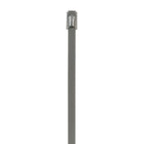 Panduit MLT2S-CP | Pan-Steel Cable Tie, SS 304, Standard, 2" Dia., PK100