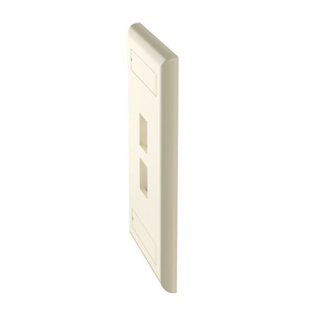 Panduit NK2FEIY | NK 2-Port, single gang, flush mount Faceplate With labels, Electric Ivory