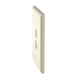 Panduit NK2FEIY | NK 2-Port, single gang, flush mount Faceplate With labels, Electric Ivory