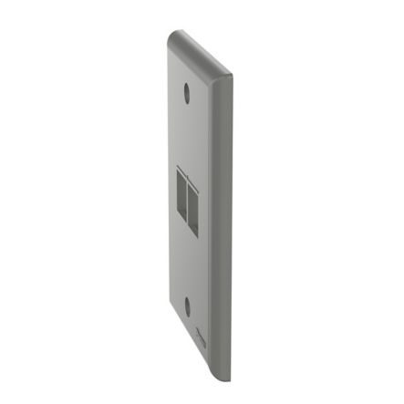 Panduit NK2FNIG | NetKey Faceplate, 2-Port, International Gray