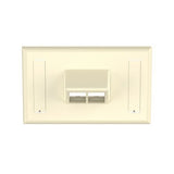 Panduit NK2HSFEIY | Netkey Faceplate 2-Port Horizontal Sloped Electric Ivory, Labels