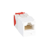 Panduit CJ5E88TGAW | Panduit MINI-COM TX-5e - Modular insert - arctic white - 1 port