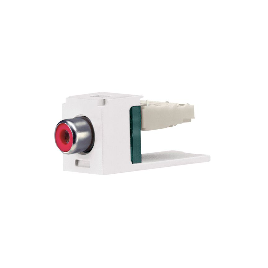 Panduit CJRRIG | Pan-Net RCA Module