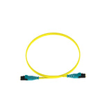 Panduit F92ELQ1Q1SNM002 | Fiber Optic Patch Network Cable - 6.56 ft Fiber Optic Network Cable for Network D