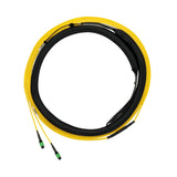 Panduit F9TYP5E5EAAF060 | QuickNet Trunk Cable Assembly