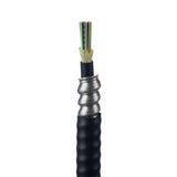 Panduit FSLP606 | 6 Fiber Cable, OM1, Indoor/Outdoor Armored TB, Plenum, 900um Buffered