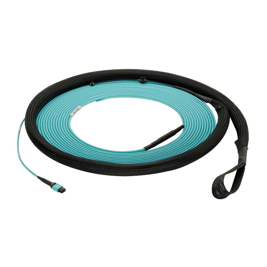 Panduit FXTYL5E5EAAM040 | QuickNet Trunk Cable Assembly