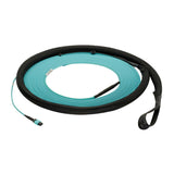 Panduit FXTYL5E5EAAM040 | QuickNet Trunk Cable Assembly