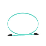 Panduit FZ2ELLNLNSNM003 | Fiber Optic Duplex Patch Network Cable - 9.84 ft Fiber Optic Network Cable for Network Device