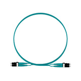 Panduit FZ2ERLNLNSNM001 | Panduit Fiber Optic Duplex Network Cable - 3 ft Fiber Optic Network Cable for Network Device