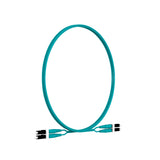 Panduit FZ2ERLNLNSNM001 | Panduit Fiber Optic Duplex Network Cable - 3 ft Fiber Optic Network Cable for Network Device