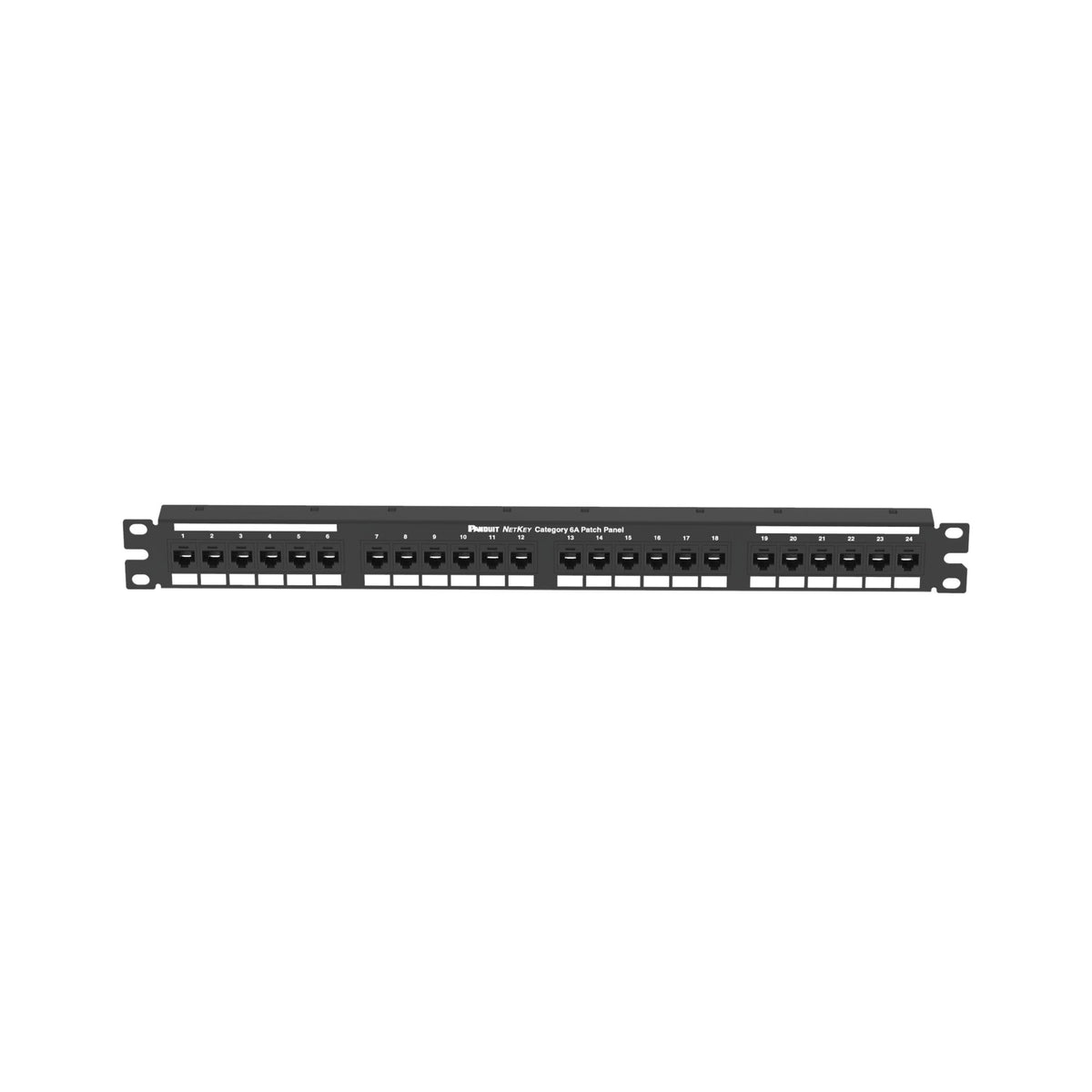 Panduit NK6XPPG24Y | Cat 6A Punchdown Keystone Patch Panel, 1 RU