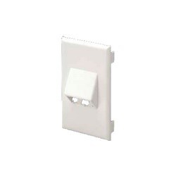 Panduit T70FV2EI | Surface Raceway, T-70 Vert, Slp, 2 Pt, Mini-Com Facplt, EI