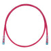 Panduit UTPSP5RDY | Cat.6 UTP Patch Cord - RJ-45 Male Network - RJ-45 Male Network - 5ft - Red, Clear