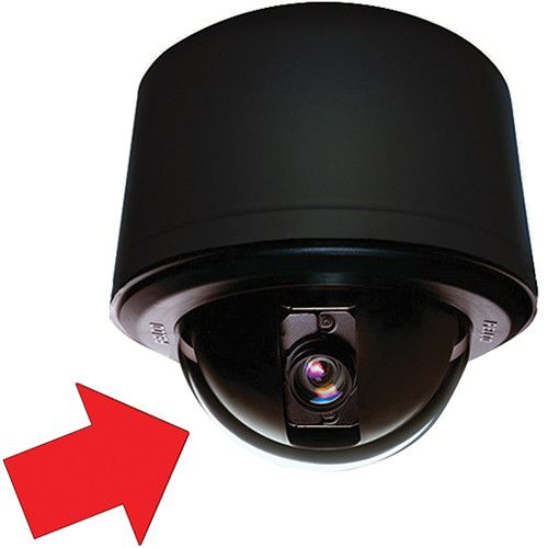 Pelco LD53PSB-1 | Stainless Steel Lower Dome Clear Pendant Black Trim Ring