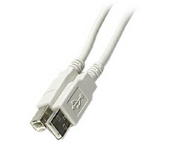 Steren 506-453 | 3' A-B USB 2.0 Cable