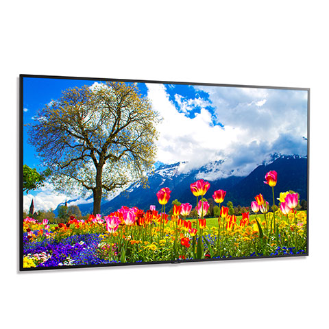 Sharp Electronics Corporation M981 | 98" Professional Display, MultiSync LED LCD Public Display