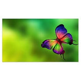 Sharp Electronics Corporation UN552S-TMX4P | Digital Signage Video Wall Bundle, 2x2, LED Direct-Lit Backlight, 165 Watt, 55" S-IPS Panel