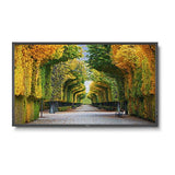 Sharp Electronics Corporation X554HB | LED Backlit High Brightness Display, LED Direct-Lit, 310 Watt, 55" S-PVA Panel, 1920 x 1080 Resolution, 2700 Candela per Sq Meter