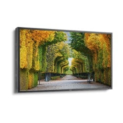 Sharp Electronics Corporation X554HB | LED Backlit High Brightness Display, LED Direct-Lit, 310 Watt, 55" S-PVA Panel, 1920 x 1080 Resolution, 2700 Candela per Sq Meter