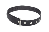 Williams BELTUTIL-SL | Utility Belt - Small-Large (28" - 46")