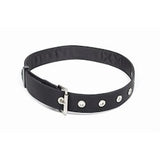 Williams BELTUTIL-SL | Utility Belt - Small-Large (28" - 46")