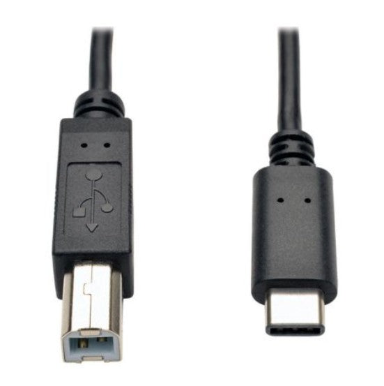 Tripp-Lite U040-006 | USB-C to USB-B Cable - USB 2.0, (M/M), 6 ft. (1.83 m)