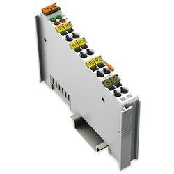 Wago Corporation 750-461/025-000 | 2-Channel Analog Input Module, PT100 RTD, Extended Temperature Range