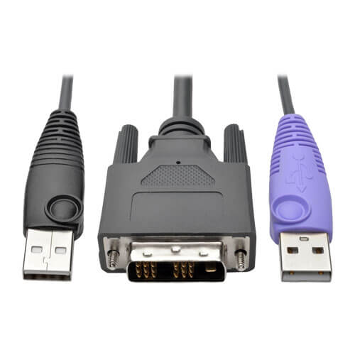 Tripp-Lite B055-001-UDV | NetDirector DVI USB Server Interface Unit with Virtual Media and CAC Support (B064-IPG Series), USB and DVI