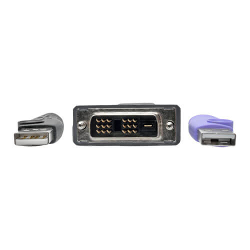 Tripp-Lite B055-001-UDV | NetDirector DVI USB Server Interface Unit with Virtual Media and CAC Support (B064-IPG Series), USB and DVI