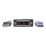 Tripp-Lite B055-001-UDV | NetDirector DVI USB Server Interface Unit with Virtual Media and CAC Support (B064-IPG Series), USB and DVI