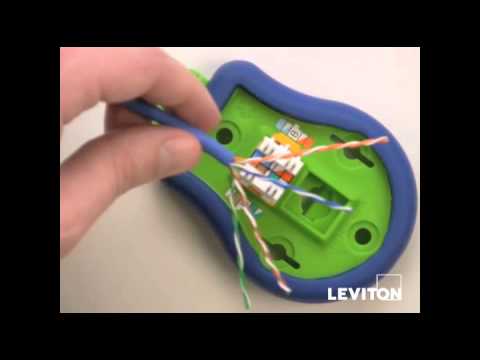 Leviton 5G110-JW5 | 150 eXtreme Cat 5e QuickPort Jacks, Bulk QuickPack, White, Kitted with JackRapid Tool