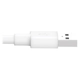 Tripp-Lite M100-010-WH | USB-A to Lightning Sync/Charge Cable, MFi Certified - White, M/M, USB 2.0, 10 ft. (3.05 m)