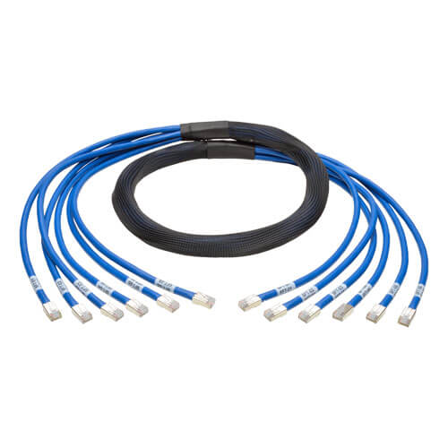 Tripp-Lite N261-006-6MM-BL | Cat6a 10G Certified Pre-Terminated Copper Trunk Assembly (6x RJ45 M/M), Blue, 6 ft. (1.83 m)