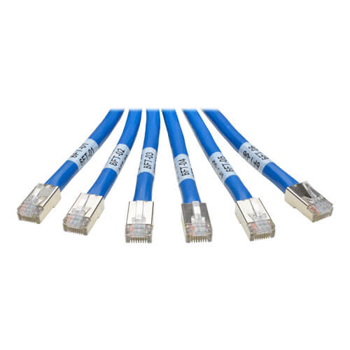 Tripp-Lite N261-006-6MM-BL | Cat6a 10G Certified Pre-Terminated Copper Trunk Assembly (6x RJ45 M/M), Blue, 6 ft. (1.83 m)