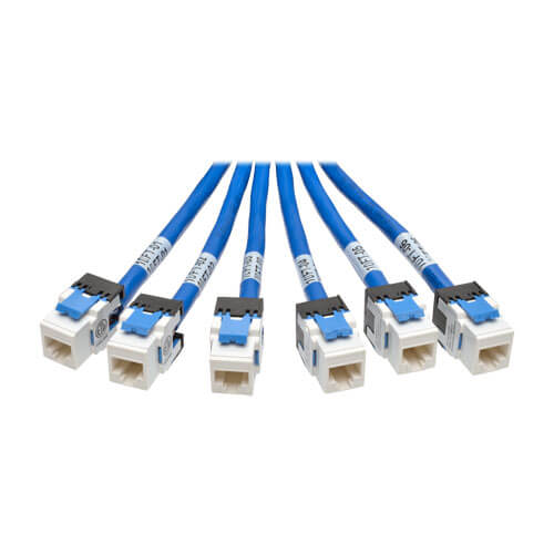 Tripp-Lite N261-010-6MF-BL | Cat6a 10G Certified Pre-Terminated Copper Trunk Assembly (6x RJ45 M/F), Blue, 10 ft. (3.05 m)