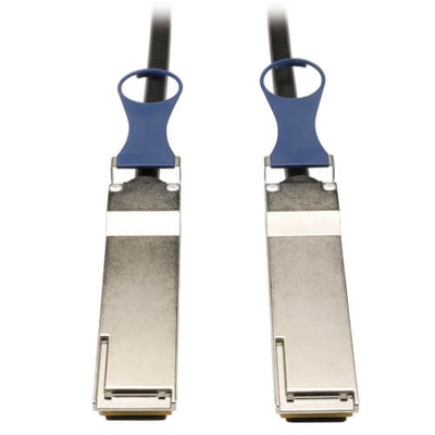 Direct Attach Cables (DACs)