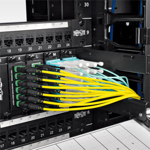 Tripp-Lite N392-30M-3X8-AP | MTP/MPO (APC) Singlemode Slim Trunk Cable, 24-Strand, 40/100 GbE, 40/100GBASE-PLR4, Plenum, 6mm Dual Jacket, 30 m (98 ft.)