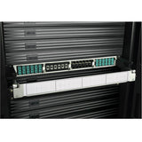 Tripp-Lite N484-12LC | 10GbE Pass-Through Cassette - (x12) LC Duplex