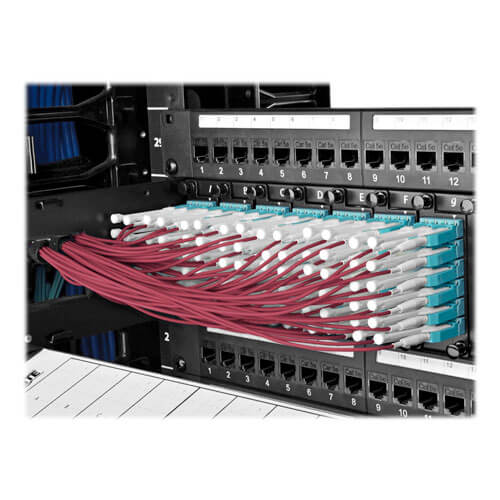 Tripp-Lite N821-06M-MG-T | 10G Duplex Multimode 50/125 OM4 LSZH Fiber Optic Cable (LC/LC), Push/Pull Tabs, Magenta, 6 m