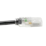 Tripp-Lite P006-010-HG13CL | Hospital-Grade Power Cord, NEMA 5-15P to C13 - Green Dot, 13A, 125V, 16 AWG, 10 ft. (3.05 m), Clear Plugs