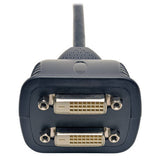 Tripp-Lite P564-001 | DVI Y Splitter Cable, Digital Monitors (DVI-D M to 2x F), 1 ft. (0.31 m)