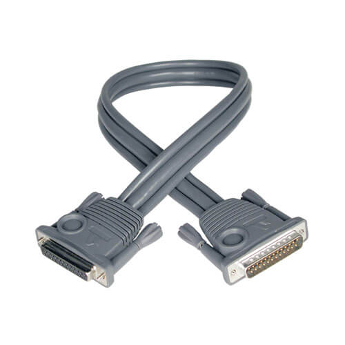 Tripp-Lite P772-002 | Daisy Chain Cable for NetDirector KVM Switch B020-Series and KVM B022-Series, 2 ft. (0.61 m)